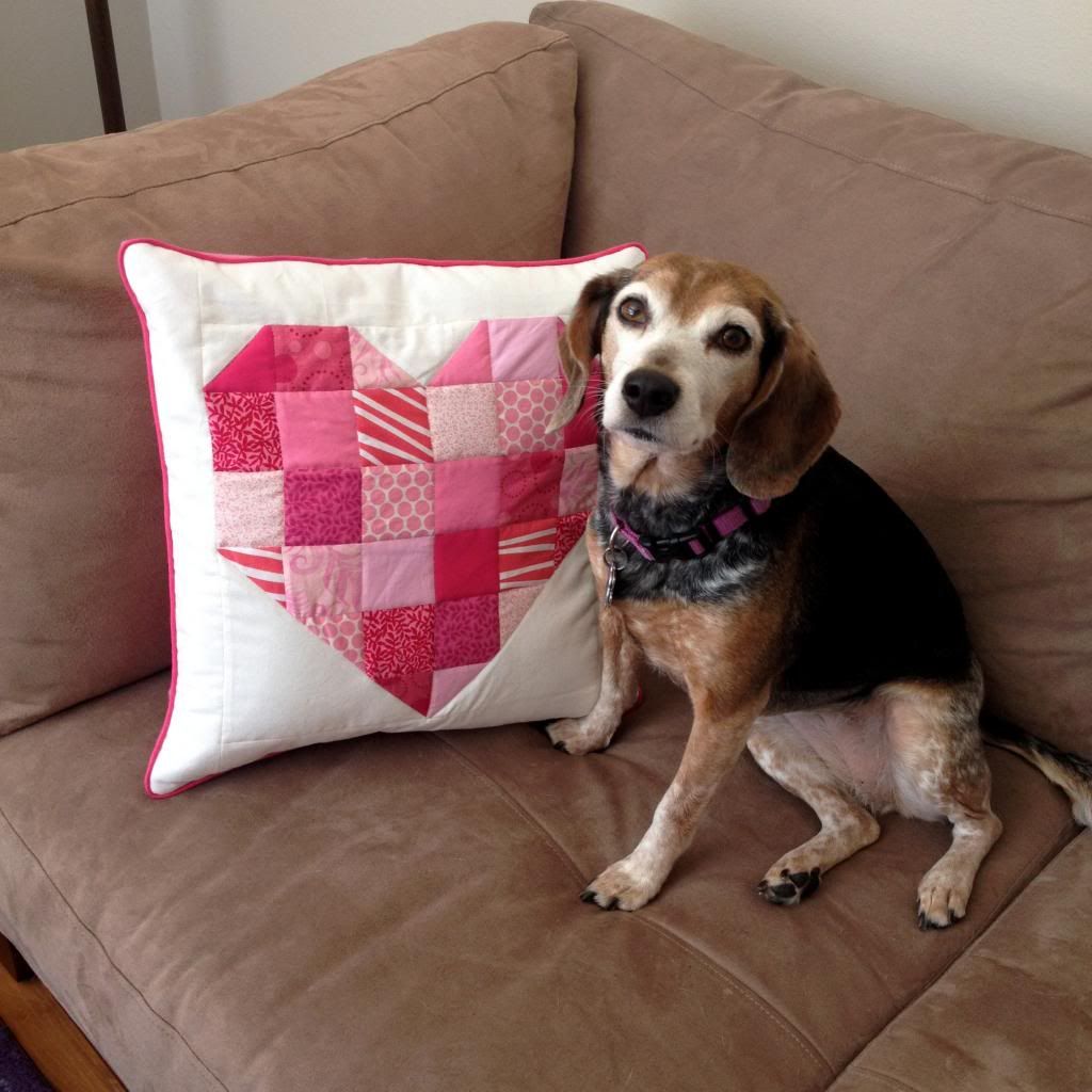 beagle face pillow